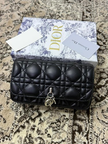 شنطة ديور لوقو فضي