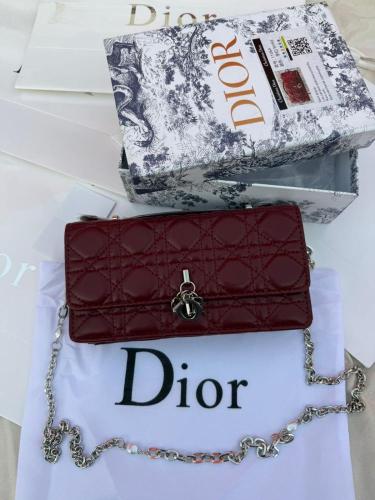 Dior bag with all accessories