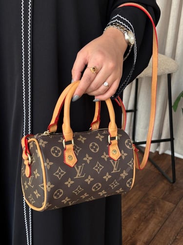 شنطة لويس فيتون