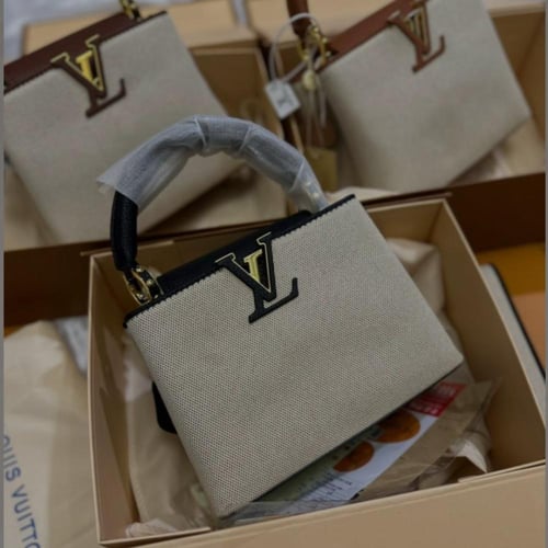 شنطة لويس فيتون