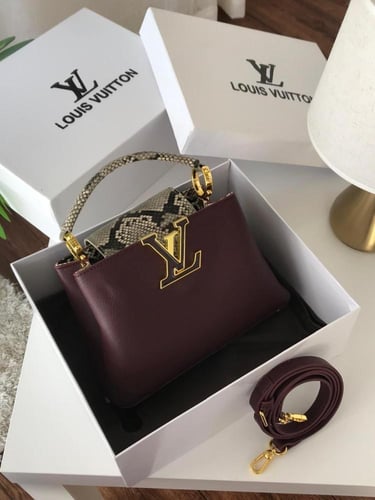 شنطة لويس فيتون