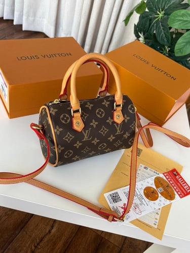 شنطة لويس فيتون