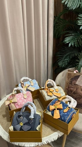 شنطة لويس فيتون حجم ميني