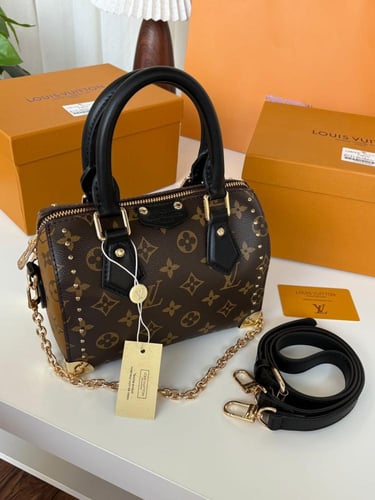 شنطة لويس فيتون