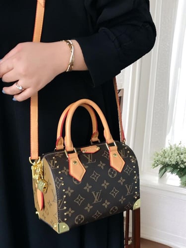 شنطة لويس فيتون