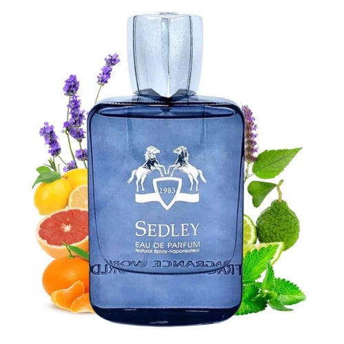 فرنش افنيو سيدلي للرجال 100 مل - FRAGRANCE AVENUE...