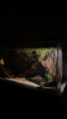 سبوت لايت اصفر