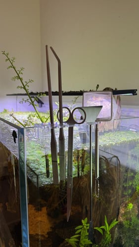 ستاند أدوات حوض السمك