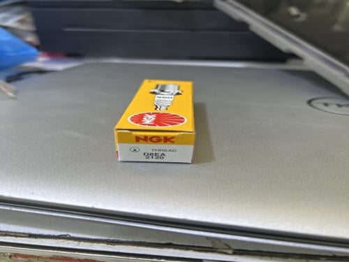 بوجي اصفر ياباني حق بلوف