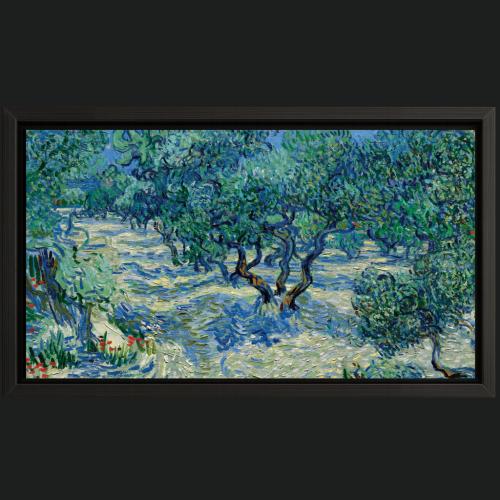 لوحة The Olive Trees by van Gogh