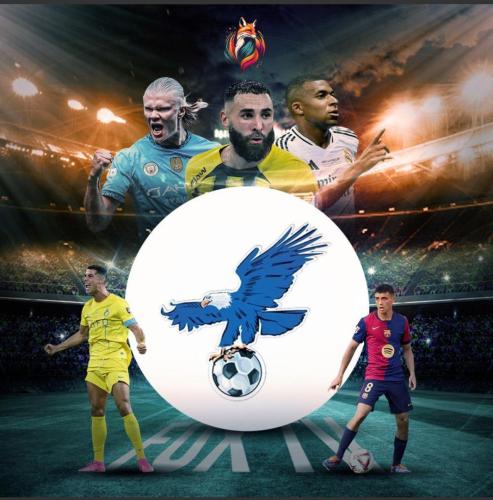 اشتراك فولتشر 3 شهور