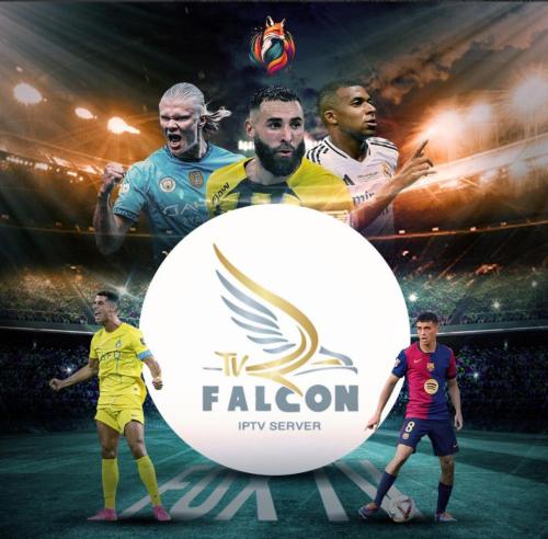 اشتراك فالكون سنه جهازين