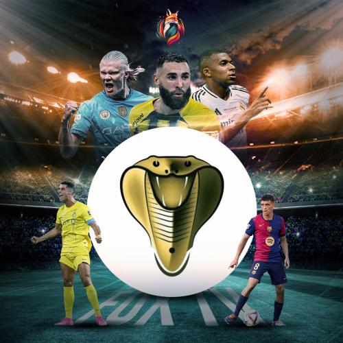 أشتراك كوبرا ٦شهور