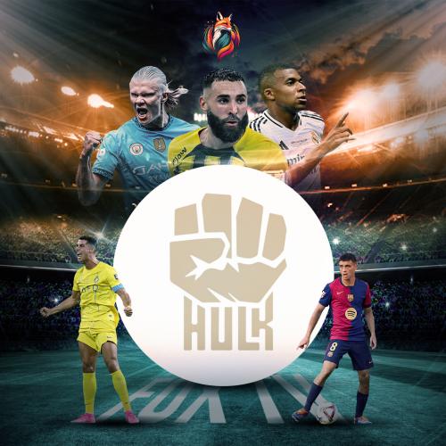 اشتراك هولك سنه