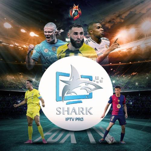 اشتراك شارك 3شهور