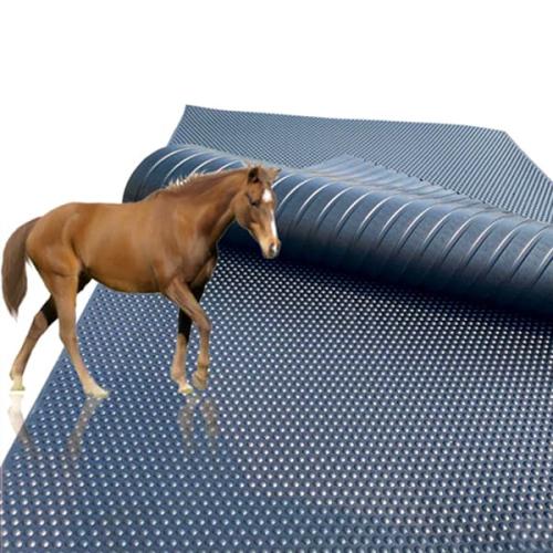 ارضيات ربل اسطبل الخيل Horse rubber flooring