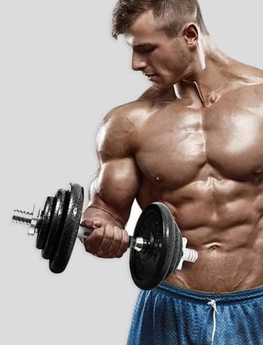 الدنابل المتعددة بحلقة للبار 20 كج