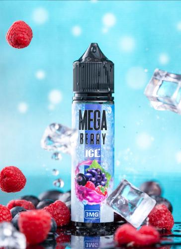 ميجا توت مشكل ايس فيب - MEGA
