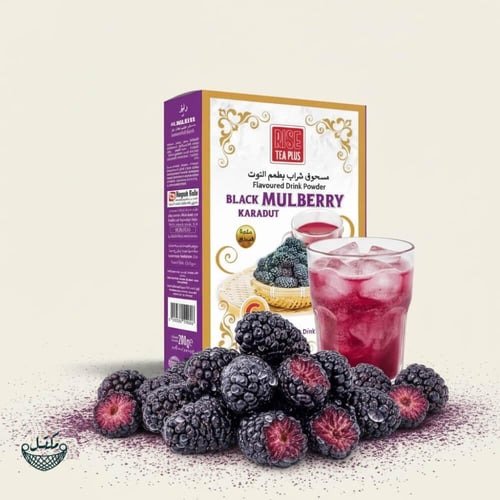 مسحوق شراب بطعم التوت الأسود من رايز بلس | Rise Pl...