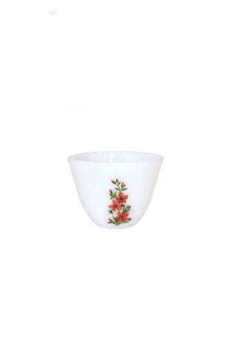 فنجان كوري ليلي 1 درزن