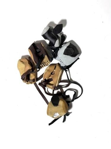 برقع صقر سوري الوان مختلفة