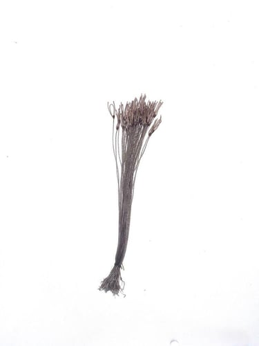 عيون شبك صيد سوري 50 حبة