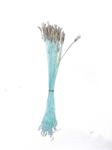 عيون شيك صيد الماني 100 حبه