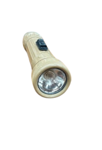 كشاف الجيش الامريكي حجر