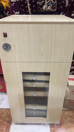 فقاسة بيض كهربائية