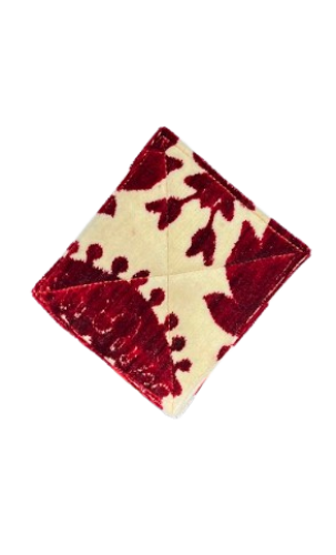 بيز ابوطير وجهين