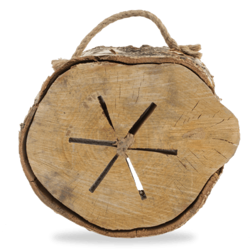 حطب الجذع المشتعل