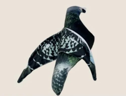 ملواح حمامة