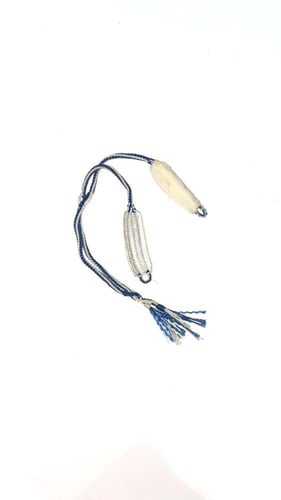 سبق صقر باكستاني ملون