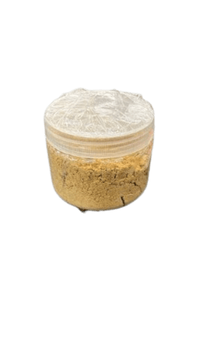 خلطة زنجبيل ام عبود