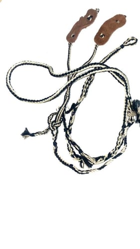 سبق صقر سوري مع جرير ملون