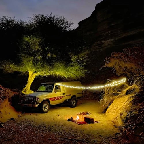 عقد الرحلة 100 لمبة