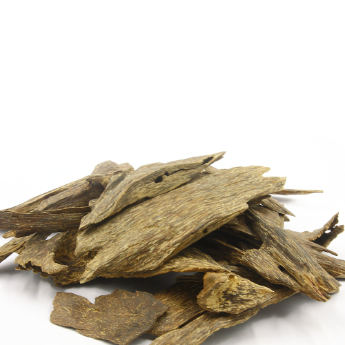 عود كلمنتان بونتيانك