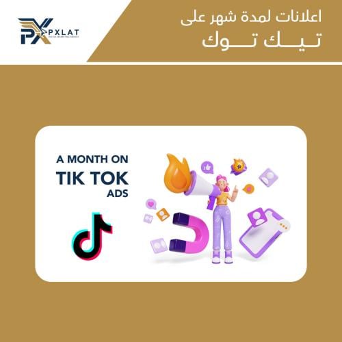 اعلانات لمدة شهر على تيك توك
