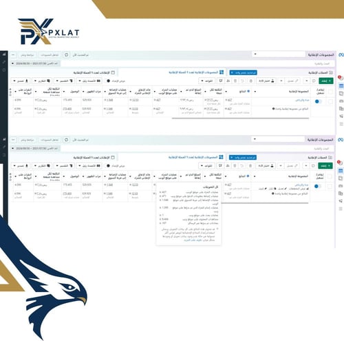 اعلانات لمدة شهر على الانستقرام