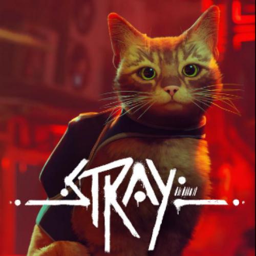 ستراي