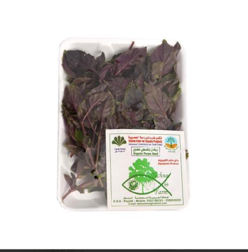 ريحان إيطالي عضوي حزمة المزرعة التقنية(تكنوفارم)