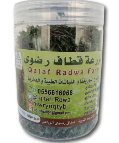 نعناع مغربي مجفف (قطاف رضوى)