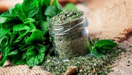 نعناع فليفلي د.الشهوان