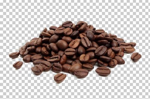بن عجوم اسود تحت التحول مزرعة الرصعة