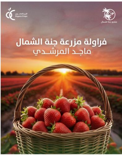 فراولة مزرعة جنة الشمال