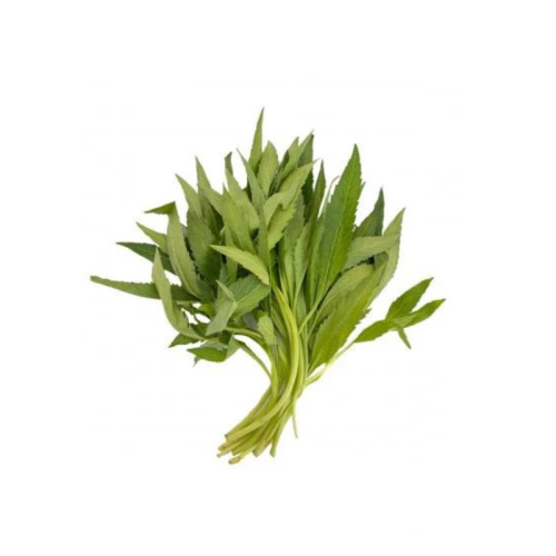 شاي أخضر عضوي حزمة المزرعة التقنية( تكنوفارم)