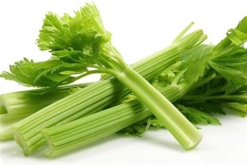 كرفس عضوي (مزرعة الريانة)