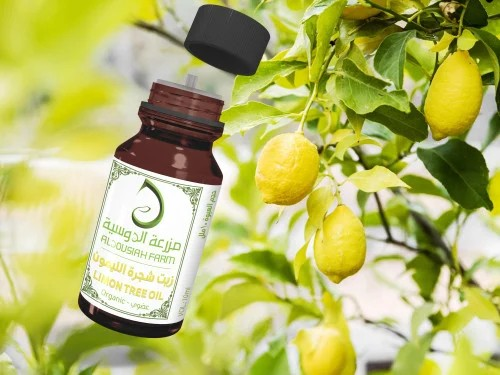 زيت شجرة الليمون العطرى العضوى الدوسية