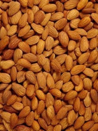 لوز بلدى عضوى 1ك مزرعة العون