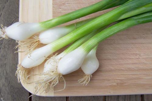 بصل أخضر عضوي(مزرعة نضال)